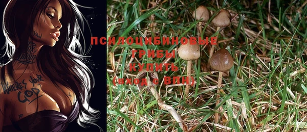 ешки Абаза