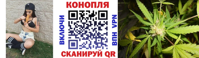 Каннабис семена  сколько стоит  Устюжна 